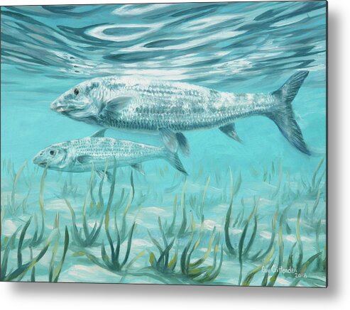 Bone Fish Metal Print featuring the painting Two Bone Fish by Guy Crittenden