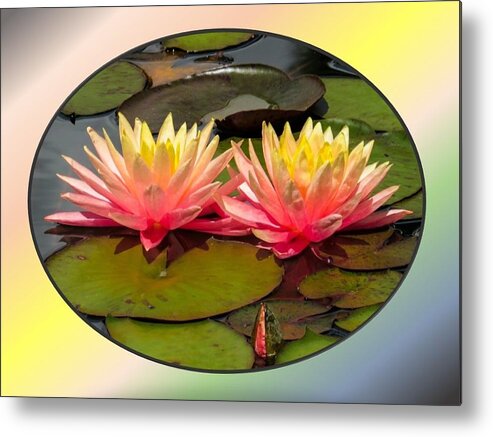 Water Lily Metal Print featuring the photograph Two Water Lilies by Nancy Ayanna Wyatt