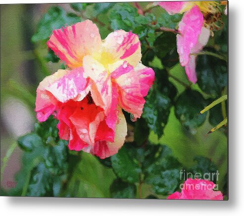 Rose Metal Print featuring the photograph Tyger Rose Burning Bright by Brian Watt