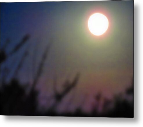 Arien Metal Print featuring the photograph Under a Full Moon in Aries by Judy Kennedy
