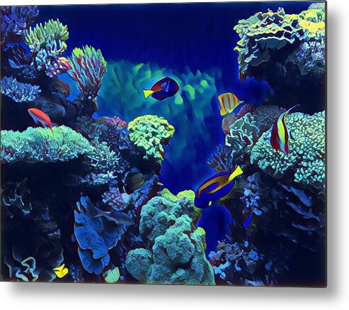 Under The Sea Metal Print featuring the photograph Under the Sea by Juliette Becker