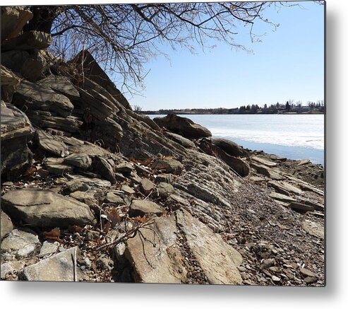 Tree Metal Print featuring the photograph View From The Shore by Amanda R Wright