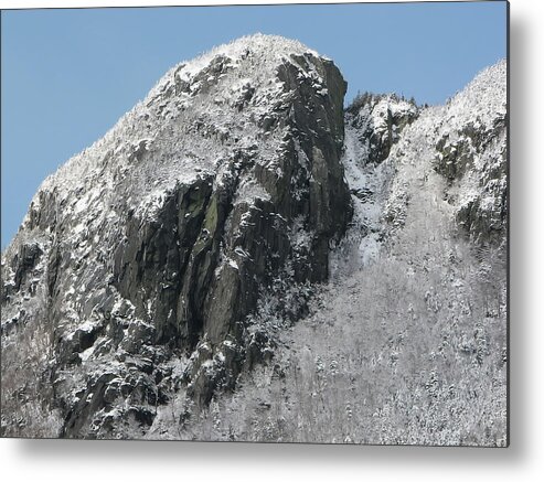 Watcher Metal Print featuring the photograph Watcher Winter Profile by White Mountain Images