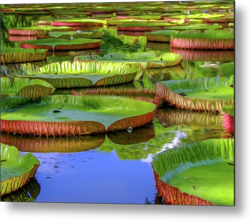 Ile Maurice Metal Print featuring the digital art Water lilies Pamplemousses Mauritius between photo and painting by Kevin Nirsimloo