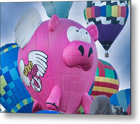 Hot Air Balloons Metal Print featuring the photograph When Pigs Fly AIBF 2 by Segura Shaw Photography