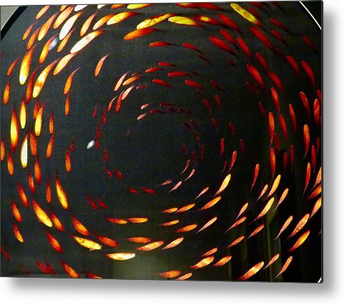 Spirals Metal Print featuring the photograph School in Session by Kerry Obrist
