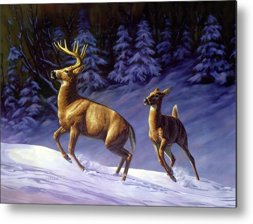 Deer Metal Print featuring the painting Whitetail Deer Painting - Startled by Crista Forest