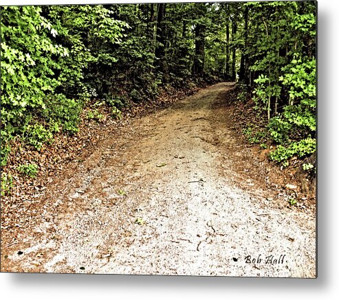 Road Metal Print featuring the photograph Who Knows What's Around the Bend... by Bob Hall