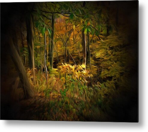 Forest Metal Print featuring the photograph Window into the Forest by Christopher Reed