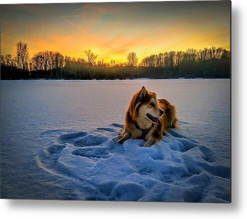  Metal Print featuring the photograph Winter Sunset by Brad Nellis