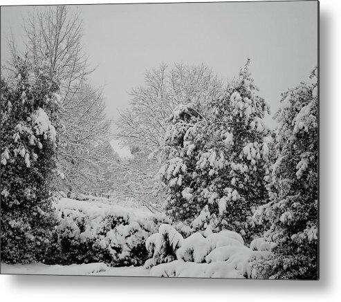 Landscape Metal Print featuring the photograph Winter Wonderland by Carol Whaley Addassi