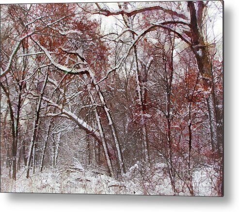 Landscape Metal Print featuring the photograph Winters Delight 3 by Cedric Hampton