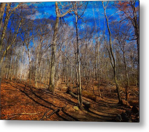 Woods Metal Print featuring the digital art Woods with Deep Blue Sky by Russ Considine