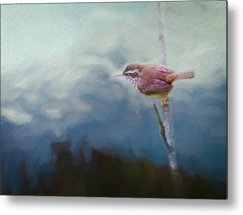 Texture Metal Print featuring the photograph Wren on the Mountain by Marjorie Whitley
