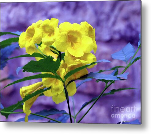 Yellow Flower Metal Print featuring the photograph Yellow Flower by Roberta Byram