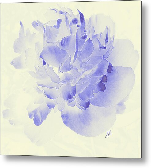 Flower Metal Print featuring the photograph Paeony - Shadow in Blue by Stephanie Grant