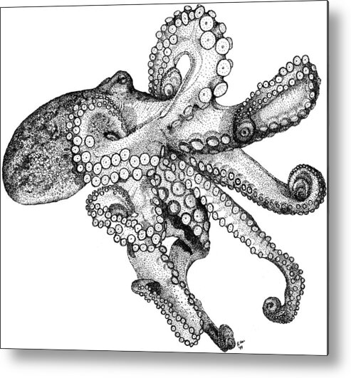 Common Atlantic Octopus Metal Print featuring the photograph Atlantic Octopus by Roger Hall