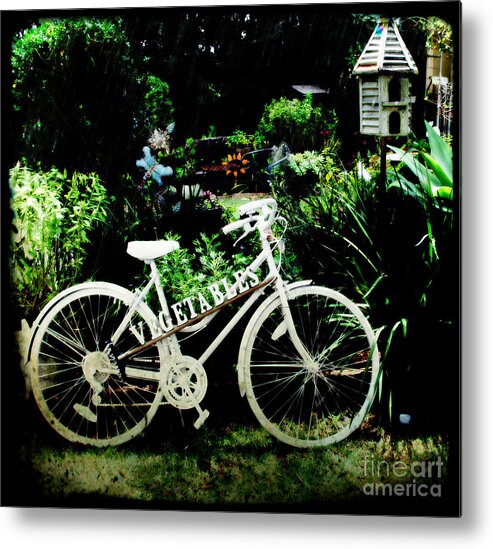 Bicycle Metal Print featuring the photograph Bicycle and Bird House by Therese Alcorn