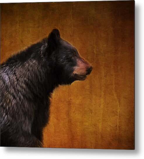 Black Bear Metal Print featuring the photograph Black Bear Portrait Painterly by Clare VanderVeen