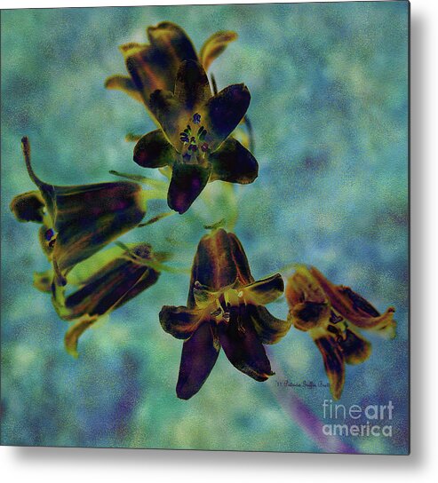 Mixed Media Metal Print featuring the photograph Can You Hear the Bells Ringing by Patricia Griffin Brett