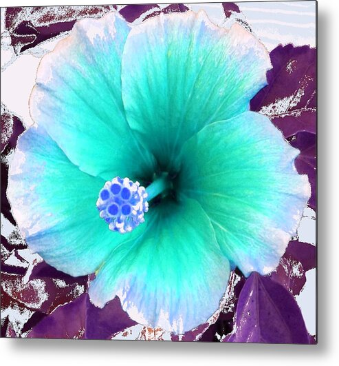 Dream Metal Print featuring the photograph Dreamflower by Linda Bailey