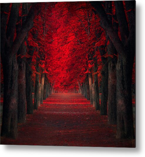 Creative Edit Metal Print featuring the photograph Endless Passion by Ildiko Neer