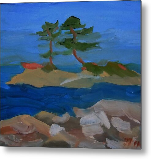 Landscape Metal Print featuring the painting Fly Point Island by Francine Frank