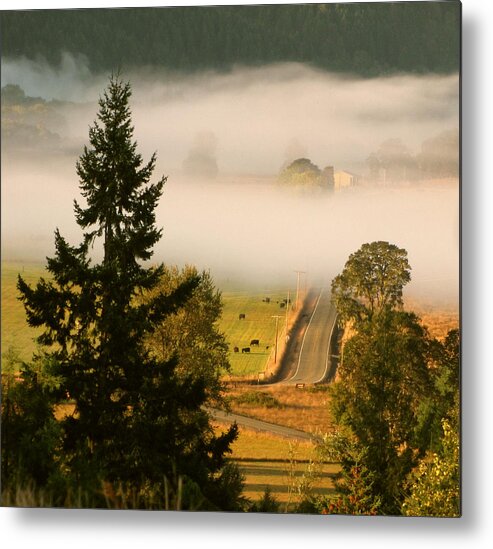 Tree Metal Print featuring the photograph Foggy Morning Drive by KATIE Vigil