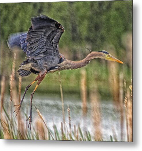 Great Metal Print featuring the photograph Forward Determination by Constantine Gregory