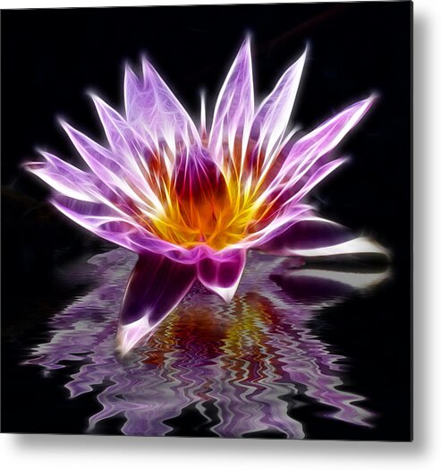 Lilly Metal Print featuring the photograph Glowing Lilly Flower by Shane Bechler