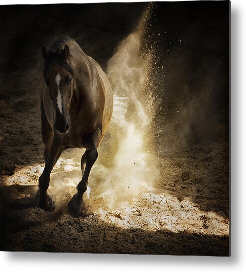 Horse Metal Print featuring the photograph Gold Dust by Pamela Steege