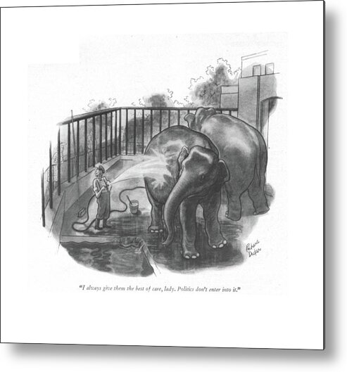 113556 Rde Richard Decker Elephant Keeper At The Zoo To Worried Lady. Animal Clean Cleaning Democrat Democrats Donkey Elephant Elephants Hose Hosing Keeper Parties Party Republican Republicans Worried Zoo Zookeeper Zookeepers Zoos Metal Print featuring the drawing I Always Give Them The Best Of Care by Richard Decker
