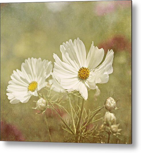 Nature Photographs Metal Print featuring the photograph In the Land of Fantasy by Kim Hojnacki