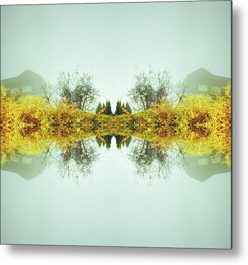 Dawn Metal Print featuring the photograph Kaleidoscope Hedge With House by Silvia Otte