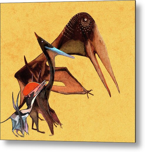 Pterosaur Size Comparison Metal Print by Nemo Ramjet - Science