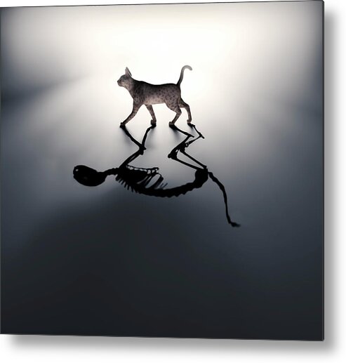 Artwork Metal Print featuring the photograph Schrodinger's Cat by Andrzej Wojcicki