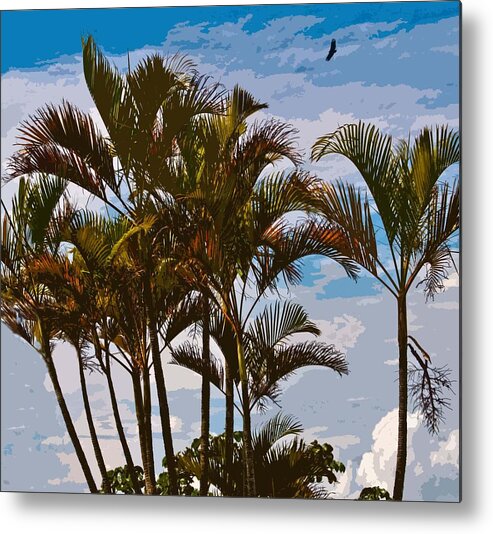 Beach Landscape Metal Print featuring the photograph The Osprey and the Palms by Edward Shmunes