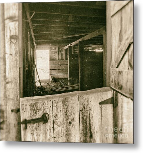 Barn Metal Print featuring the photograph Through The Barn Door by Pam Holdsworth