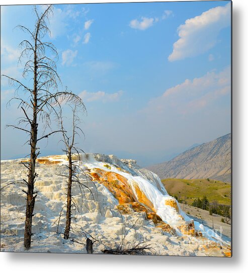 Yellowstone National Park Metal Print featuring the photograph Yellowstone Canary Spring by Debra Thompson