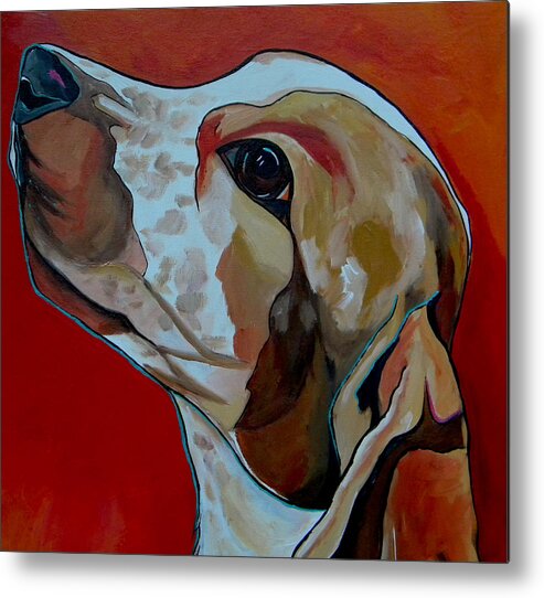 Dog Metal Print featuring the painting Chance Close Up by Patti Schermerhorn