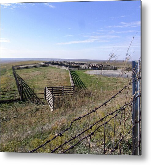 Fences Metal Print featuring the photograph Fences by Al Griffin