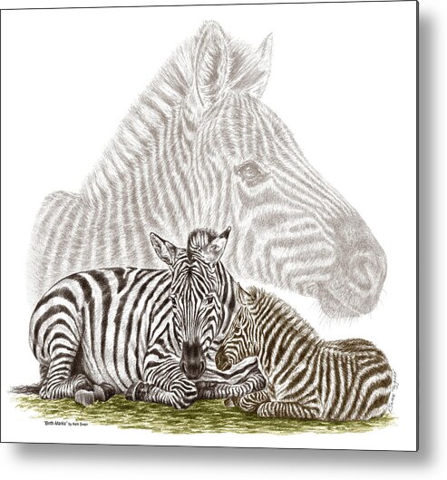 Zebra Metal Print featuring the drawing Mom and Baby Zebra Art by Kelli Swan