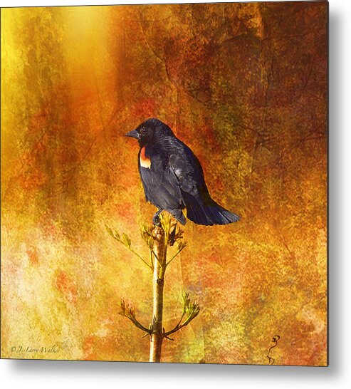 J Larry Walker Metal Print featuring the digital art Red-Winged Blackbird Abstract by J Larry Walker