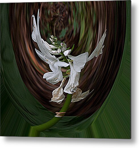 Abstract Metal Print featuring the photograph White Flight by Robert Sander