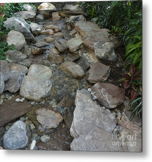 Pond Metal Print featuring the photograph Flowing Waters #1 by Jimmy Clark