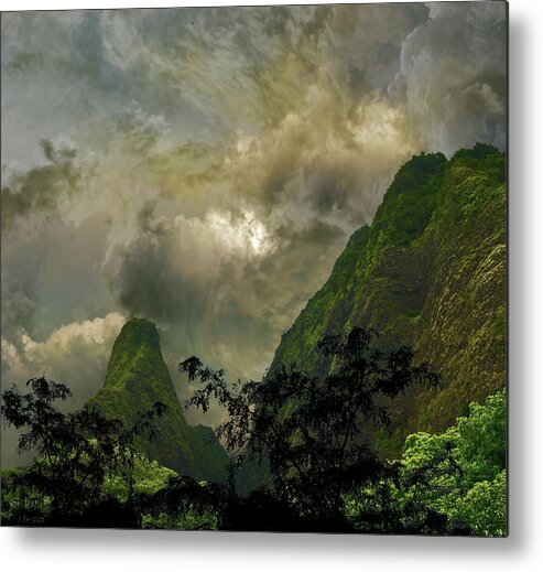 Tropics Metal Print featuring the photograph 4702 by Peter Holme III