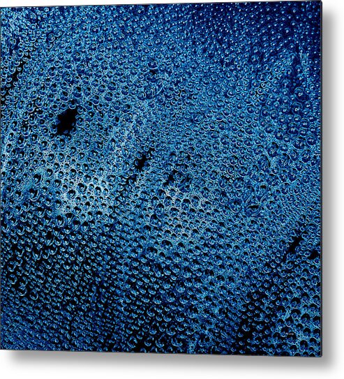 Blue Metal Print featuring the photograph Blues by Mary Beth Landis