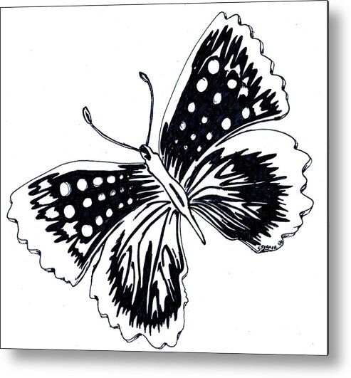 Black And White Metal Print featuring the drawing Butterfly by Susan Turner Soulis