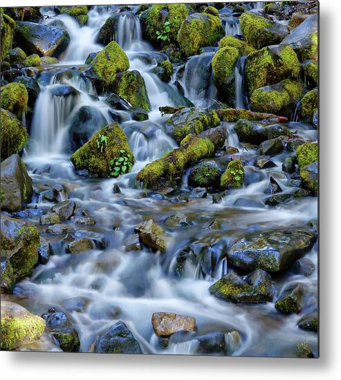 Water Metal Print featuring the photograph Cascade of Many Waters by Rick Lawler