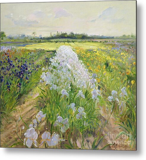 Iris; Field; Flower; Landscape; Irises; Flowers; Grass; Fields; Leaf; Leafs; Tree; Trees Metal Print featuring the painting Down the Line by Timothy Easton
